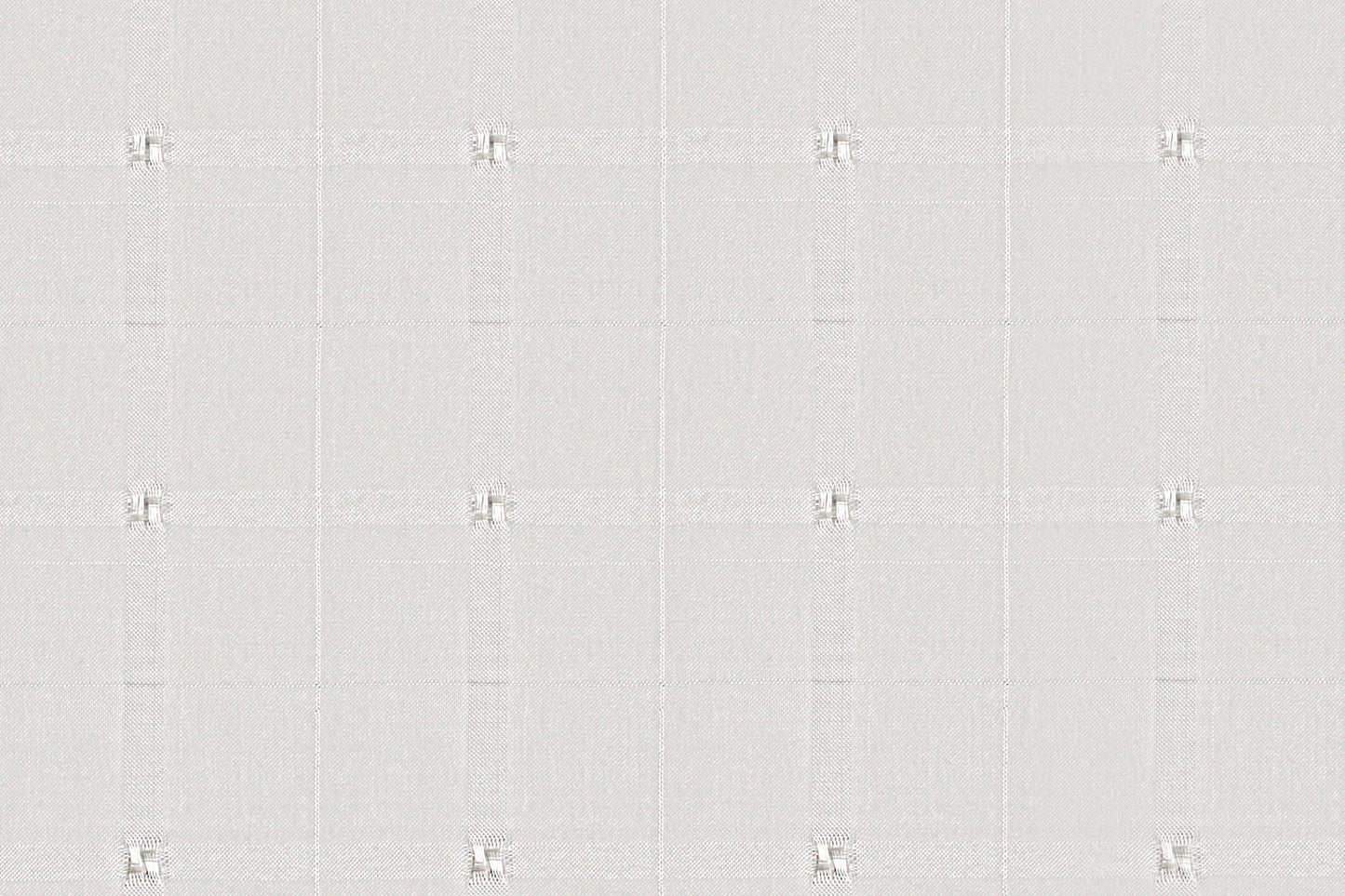 ZH009